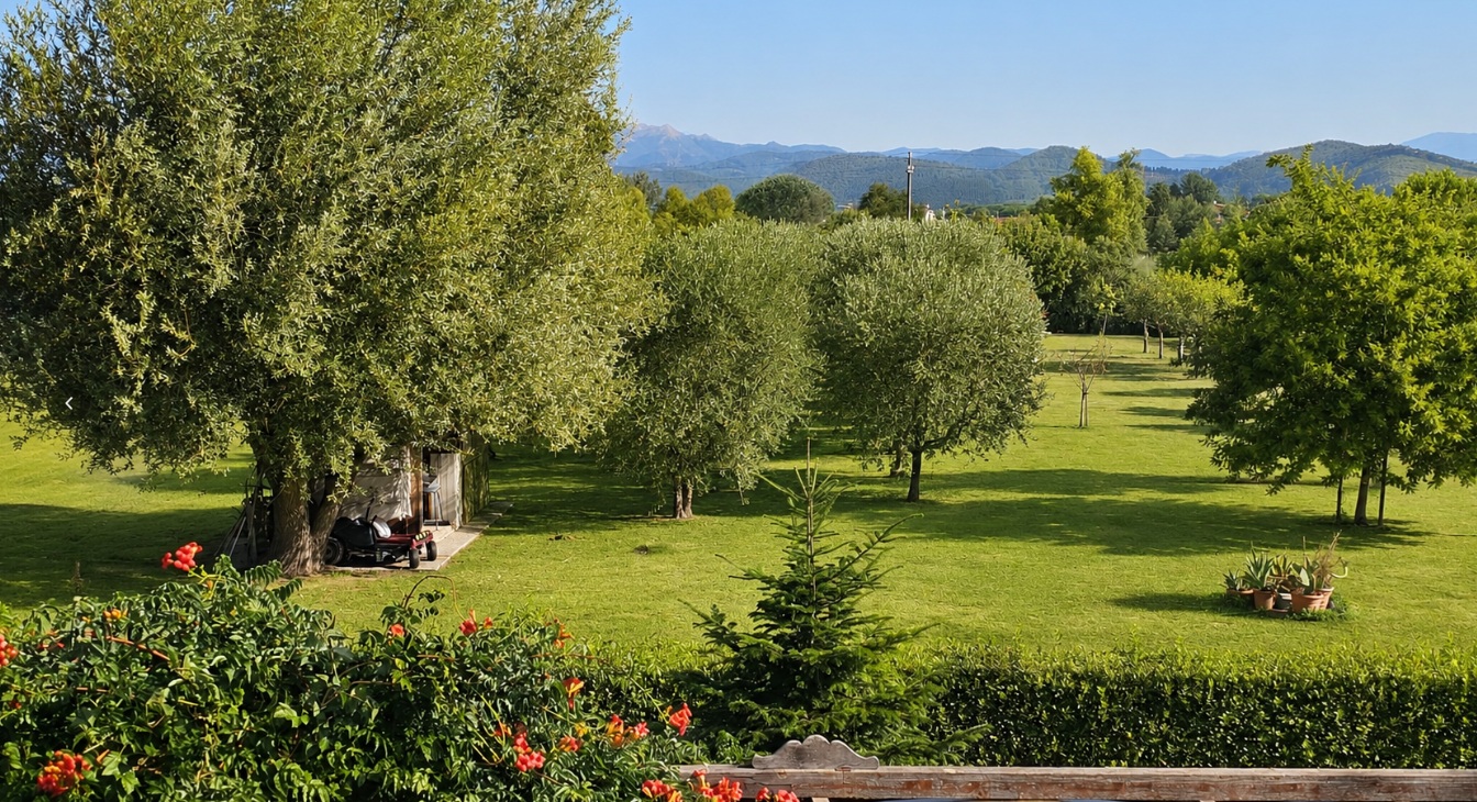 Vista Parco Giardino